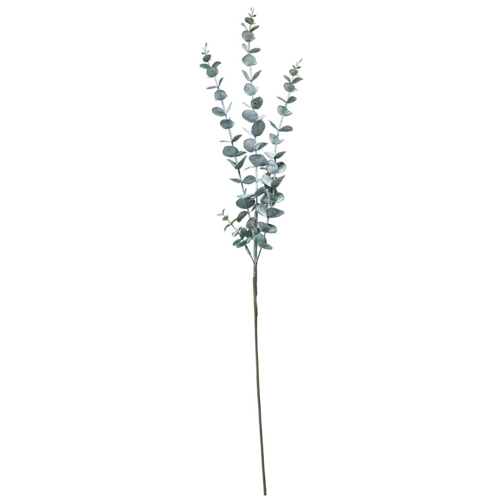 Eukalyptus stilk 76cm