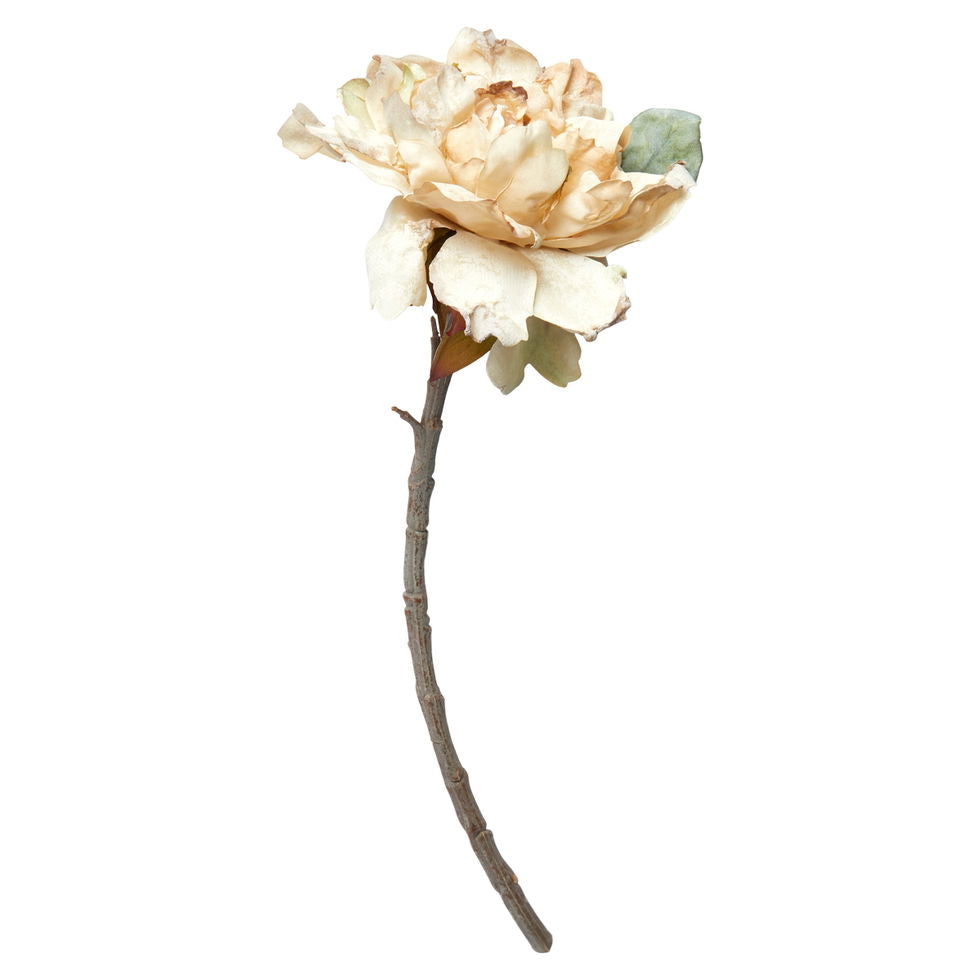 Pæon stilk beige - kunstig plante 40cm